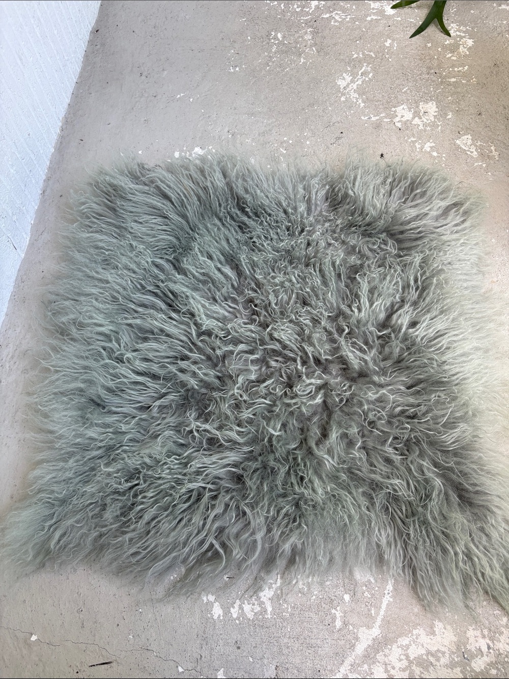 West elm Lamb fur pillow